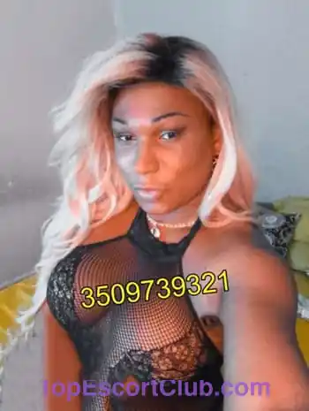 Camilla cubana transex