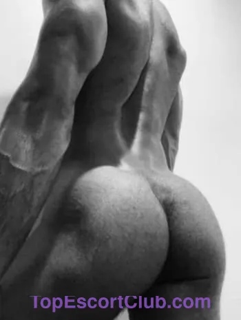 New