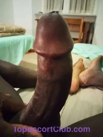 Blackcock