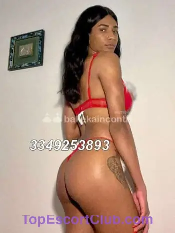 Zara dior