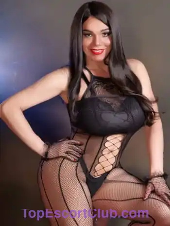 Duda cavalona